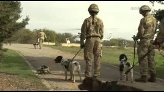 Military Dogs and Handlers Ready for Afghanistan 12.03.14