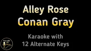 Conan Gray - Alley Rose Karaoke Instrumental Lower Higher Female & Original Key