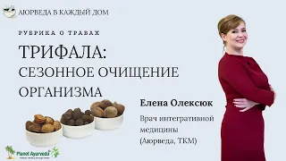 Удивительная Трифала.Секрет очищения и омоложения Аюрведы.