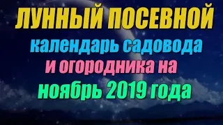 Лунный посевной календарь садовода и огородника на ноябрь 2019 года