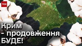 🔴 НАСТУПНІ мішені у Криму і ціль "бавовни"! Військовий оглядач приголомшив висновками!