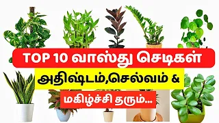 "Top 10 வாஸ்து செடிகள்" | வீட்டில் பணத்தை ஈர்த்து ,அதிஷ்டம் தரும் செடிகள்| Gardening Tips Tamil