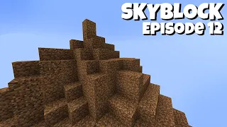 Skyblock: INFINITE DIRT! (1.19 Skyblock Episode 12)