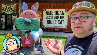 American Museum of the House Cat - Open to the Public At Last! - Rescue Possums