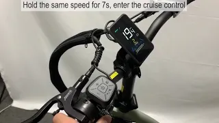 How to use the cruise control