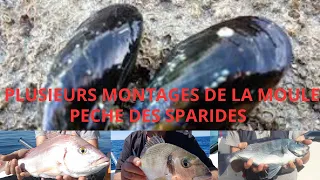 Plusieurs montage pour la moule pêche en mer