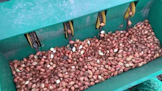 Spring onions planting Garmach AGP-4R