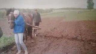 Быкова засро..а Вам весь мозг!Вы теперь всех под одну гребёнку гребете.