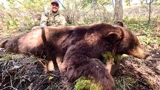 Hunting GIANT Mountain Bears! Our Best Public Land Bear Hunts