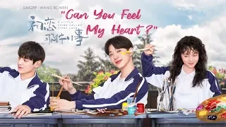 [ Eng/Pinyin ] A Little Thing Called First Love OST | Can You Feel My Heart? - Wang Bowen