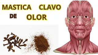 Descubre los beneficios de masticar clavo de olor, mejora tu salud de forma natural #clavoolorsalud