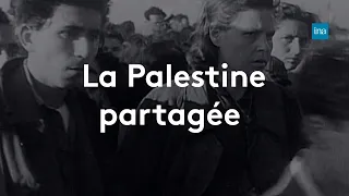 1947 : la naissance de l'État d'Israël | Archive INA