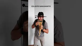 CELESTE - SANJUANITO #celeste #tradicional #sanjuanito #ethnicmusic