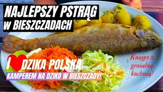 Gdzie zjeść najlepszego pstrąga w Bieszczadach?  Kamperem na dziko w Bieszczady.