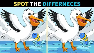 【Spot the Difference】⏰Can You Find All the Differences in 90 Seconds? | Challenge Time!