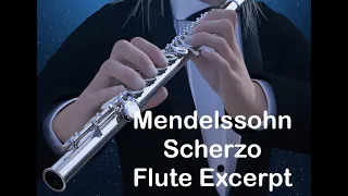 Mendelssohn Scherzo Flute Excerpt - Orchestral Track Without Flute. Play Along!