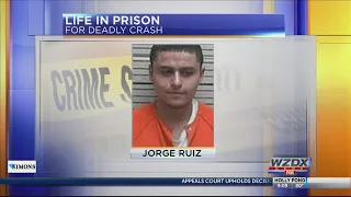 Man sentenced to life in prison following deadly crash