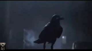 TRAILER : THE CROW  !