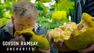 Gordon Ramsay Is Blown Away By Breadfruit | Gordon Ramsay: Uncharted