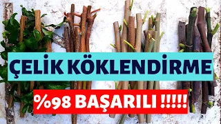 ÇELİK KÖKLENDİRME NASIL YAPILIR? %98 BAŞARILI