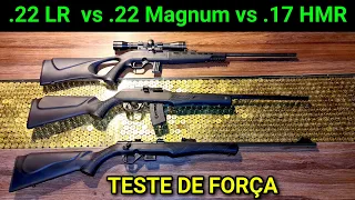 TESTE DE FORÇA - 22 MAGNUM vs .22 LR x 17 HMR na Plastilina e Gelatina - CBC 7122-M, 8117 e 7022