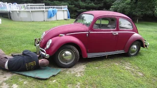 1966 vw bug find. can we get it to run?