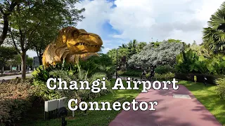 ASMR Walk - Changi Airport Connector from Terminal 4 to Terminal 2 #singapore #airport #connector