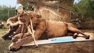 Этот лев съел 49 человек, только когда его убили, люди выяснили, почему он это делал!