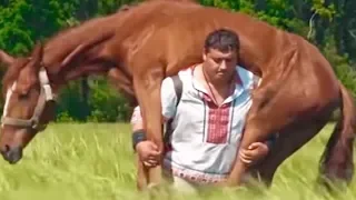 MAN CARRIES HORSE