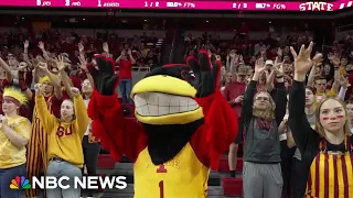 What it takes to be a college mascot