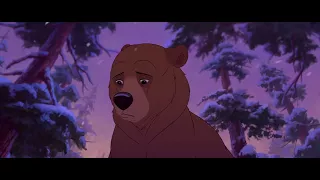 Братец медвежонок – Нет выхода.  Brother Bear - No Way Out