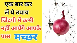 मच्छर काटना तो दूर आपके पास भी नहीं आ पाएंगे/मात्र 1 मिनट में मच्छर बगाये/मच्छर मारने का सबसे असरदार