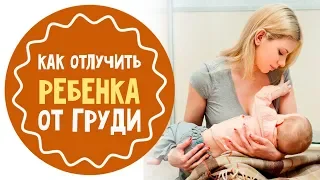 Как отлучить ребенка от груди: 7 советов для мам