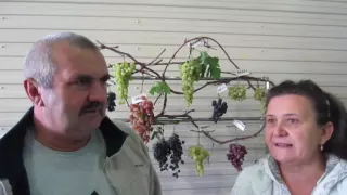 Выставка виноградарей в Казани 2016 год