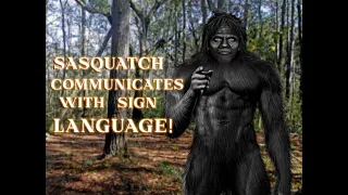 Sasquatch Communicates with Sign Language!
