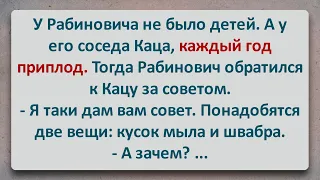 ✡️ У Каца Каждый Год Приплод! Еврейские Анекдоты! Анекдоты про Евреев! Выпуск #316