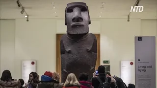 Копию статуи с острова Пасхи хотят выменять на оригинал в музее Лондона