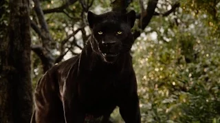 The Jungle Book | official Super Bowl trailer (2016)