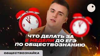 ЧТО ДЕЛАТЬ ЗА 2 НЕДЕЛИ ДО ЕГЭ ПО ОБЩЕСТВОЗНАНИЮ | САНЧЕС ОБЩЕСТВОЗНАЙКА | ЕГЭLand