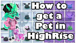 How to get Pets in HighRise | Land NFT Guide