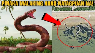 DAMBUHALANG AHAS NATAGPUAN NA! | WOWMAZING STORIES