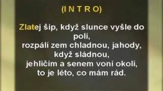 Slunce, seno, jahody - Karel Ćernoch