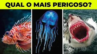 TOP 10 ANIMAIS MARINHOS MAIS PERIGOSOS DO MUNDO