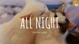 Icona Pop - All Night (remix cute) // (Vietsub + Lyric) Tik Tok Song