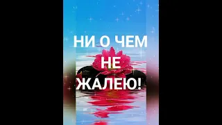 🌹Доброе утро! Чудесная песня!