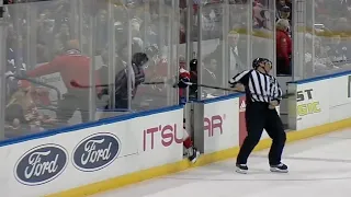 NHL "Don't Touch The Referee" Moments