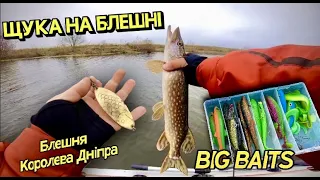 ЩУКА на БЛЕШНІ! Взяли щуку на дідову коливалку! Ловля на великі приманки! Блешня Королева Дніпра!