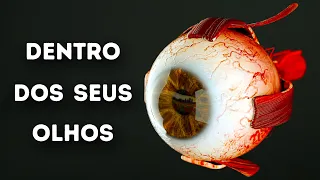 O Que Acontece Dentro Dos Seus Olhos