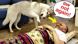 I Pretend To Sleep With A Dog Treat In My Mouth! Funny Dog and Cat reaction