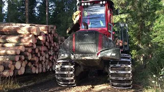 Komatsu 845 kivisessä kuusikossa🌲